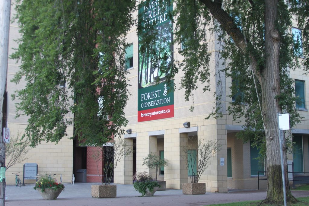 Forestry Building on Willcocks Street